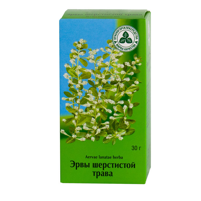 Листья Пол Пола Фото